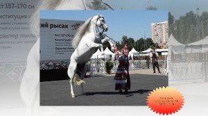 28072026_ks1